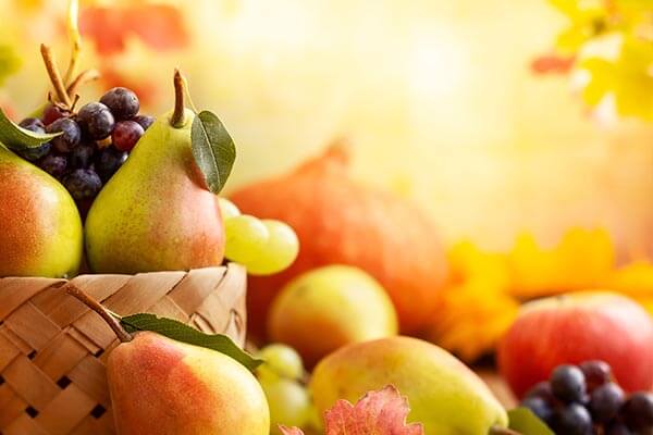 herbst-besen-obst